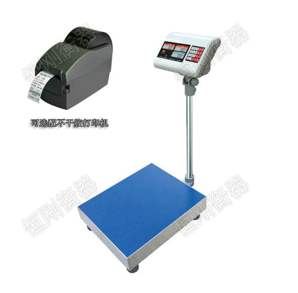 �����z����Q